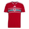Wales Fodboldtrøje Hjemmebane VM 2026
