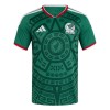 Mexico Fodboldtrøje Hjemmebane VM 2026 Mexico Fodboldtrøje Hjemmebane VM 2026