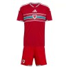 Børn - Wales Fodboldtrøje Hjemmebane VM 2026