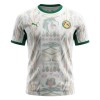 Senegal Fodboldtrøje Hjemmebane VM 2026 Senegal Fodboldtrøje Hjemmebane VM 2026