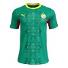 Senegal Fodboldtrøje Udebane VM 2026 Senegal Fodboldtrøje Udebane VM 2026