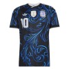 Argentina Messi 10 Fodboldtrøje Udebane VM 2026