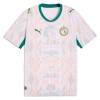 Senegal Fodboldtrøje Hjemmebane VM 2026